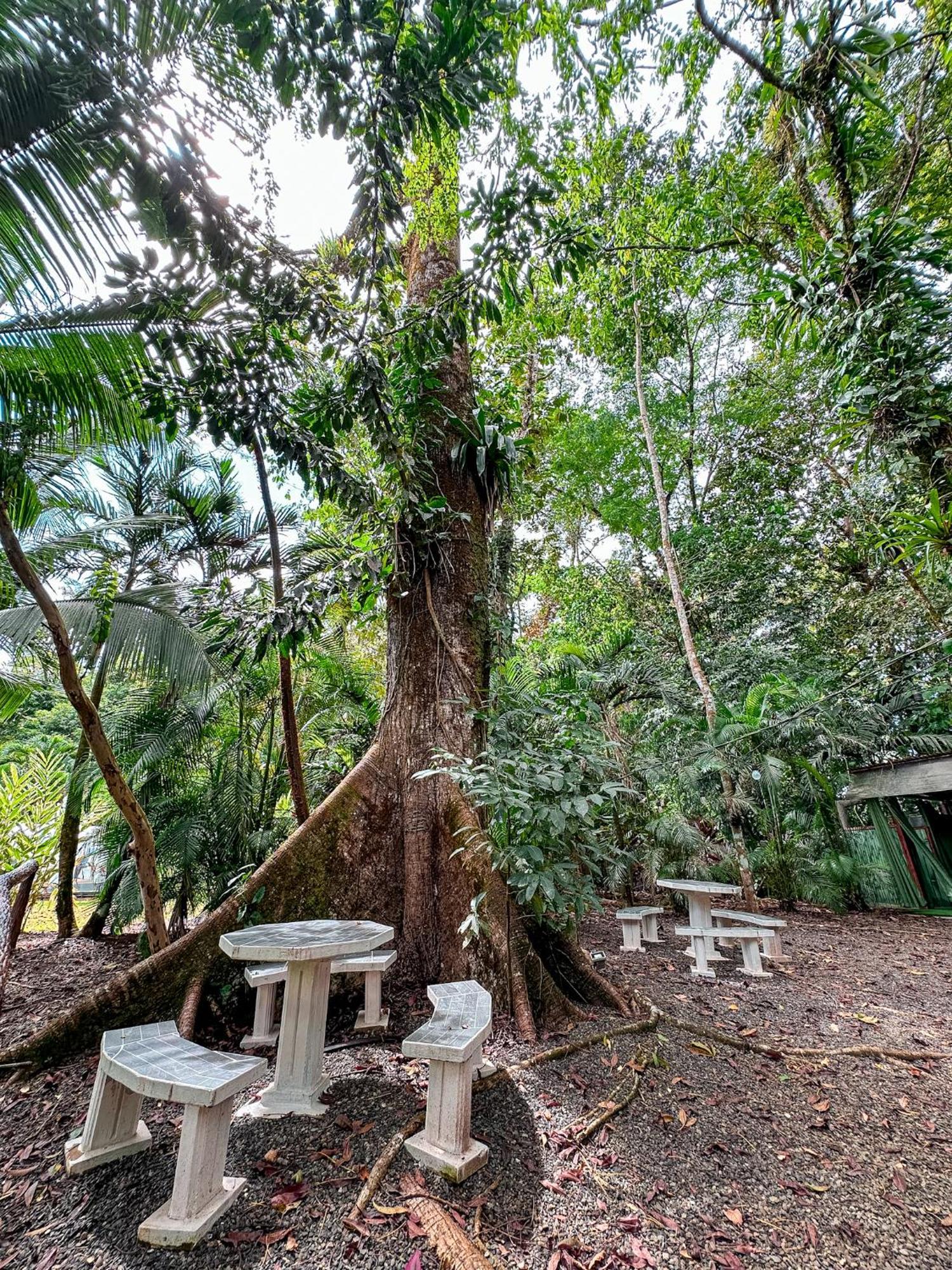 Cabanas Rio Escondido En La Fortuna Kültér fotó