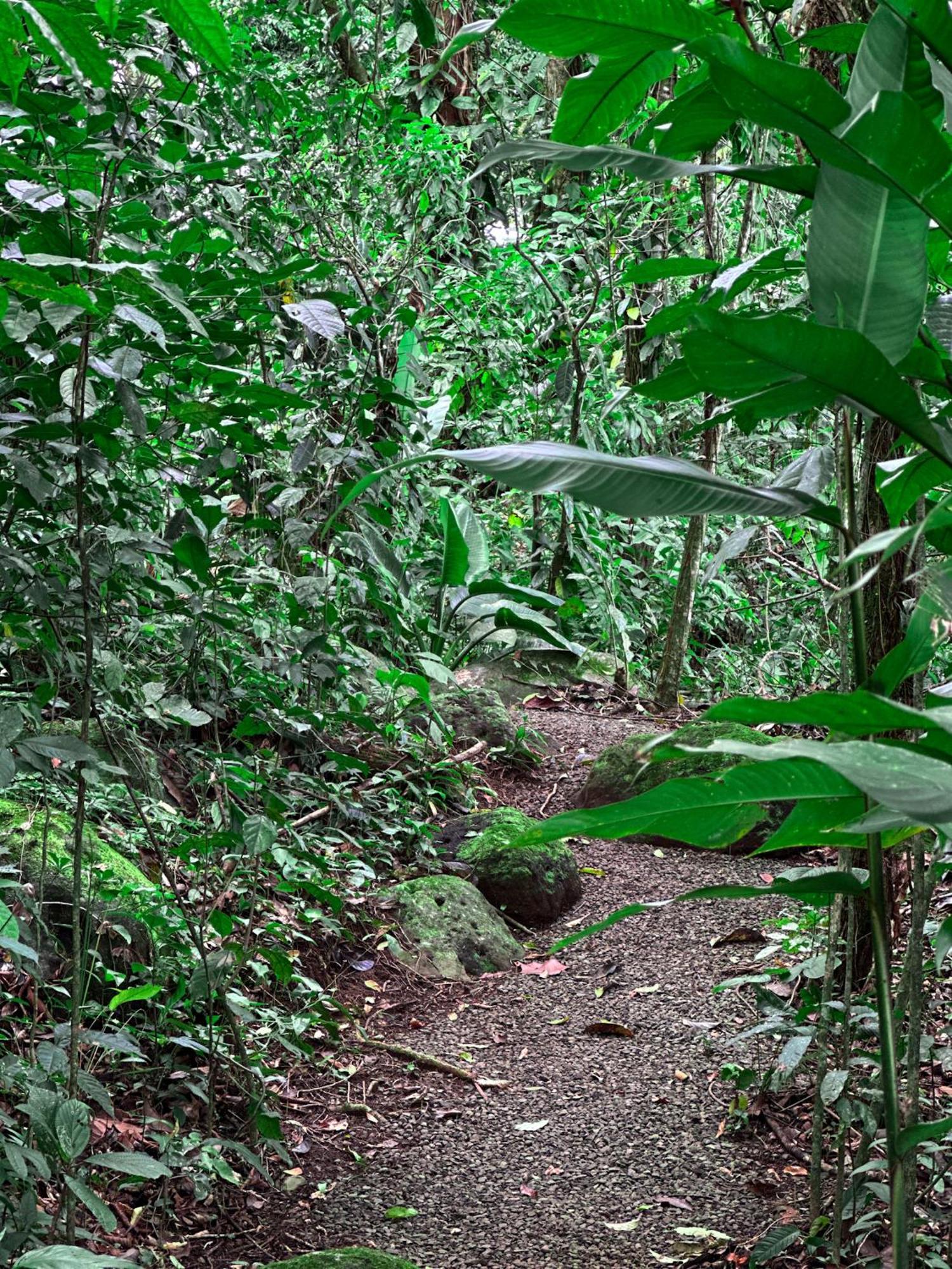 Cabanas Rio Escondido En La Fortuna Kültér fotó